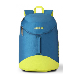 Scamp Daypck 01 19 L Backpack  (Green, Blue)