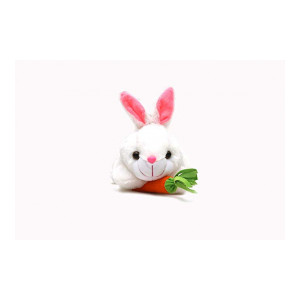 Benny N Bunny Premium High Quality Rabbit with Carrot Stuffed Soft Plush Toy - 26cm