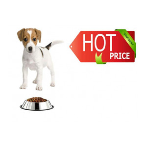 Pets Empire Steel Dog Feeding Bowl (X Small)