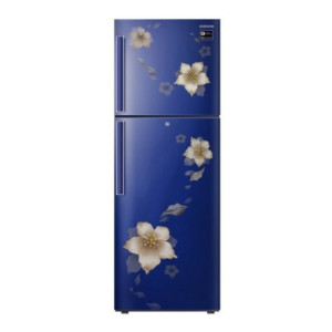 Samsung 253 L Frost Free Double Door 2 Star (2019) Refrigerator  (Star Flower Blue, RT28N3342U2-HL/RT28N3342U2-NL)