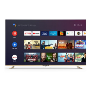 Thomson 139cm (55 inch) Ultra HD (4K) LED Smart Android TV  (55 OATHPRO 0101)