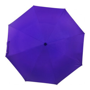 Flipkart SmartBuy 2 fold Auto Open Polyester Umbrella  (Violet)