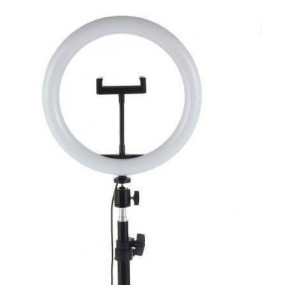 Hemrex LED Ring Light 10 Inch With Cell Phone Holder Without Tripod Stand Flash Ring Flash  (White)