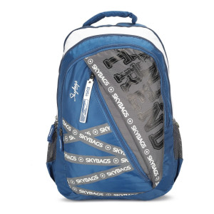 SKYBAGS : Large 31 L Backpack RIDDLE  (Blue, Grey)