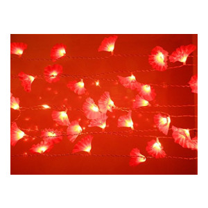 Tu Casa DW-243-11 Kupi Flower String Light (Red)