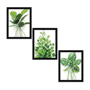 Indianara Set of 3 Framed Art Painting (3911BK) without glass 10.2 X 13, 10.2 X 13, 10.2 X 13 INCH (Style 10)
