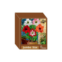 Live Green Amaryllis Jumbo Imported Big Size Excellent Quality pack of 2 By Udanta® Seeds