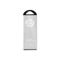 HP 220VW 2.0/3.0 128 GB Pen Drive  (Grey)