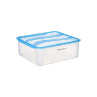 Floraware Plastic Food Safe Multiuse Storage Container, Fridge Storage Container with Lid, BPA Free, 8000ML (Blue, 1)