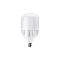 Bajaj Ivora High Wattage LED LAMP 30W Cool Day Light-6500K B22 CDL (Pack of 1)
