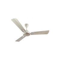 Havells 1200mm Ambrose ES Ceiling Fan | Premium Finish, Decorative Fan, Elegant Looks, High Air Delivery, Energy Saving, 100% Pure Copper Motor | 2 Year Warranty | (Pack of 1, Gold Mist Wood)