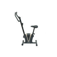 Cockatoo CUB Home Use Series Upright Exercise Bike For Home Use (1 Year Warranty, DIY Installation)
