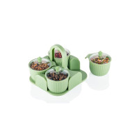 A set of 4 dry fruit containers with lids and serving trays, perfect for serving sweets, cookies (Airtight Jar) (Pista)