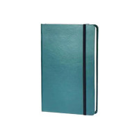 Amazon Basics Classic Notebook, Ruled - (130mm x 210mm) - 240 pages (Green)