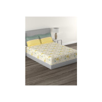 Upto 75% Off On MyTrident Bedsheets