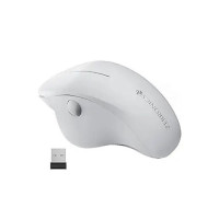 ZEBRONICS Dolphin Silent Wireless Mouse, Dual Mode Bluetooth, 2.4GHz, 1200 DPI, 3 Buttons, USB Nano Receiver, Thumb Scroll Wheel, Glossy Finish and Ergonomic Design (White) [coupon]